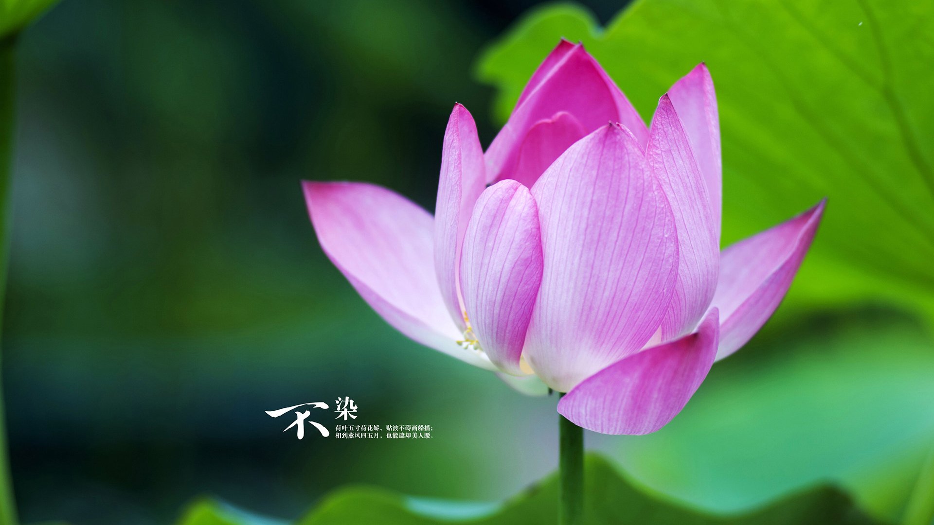 一肩扛起诺坎普，阿什拉夫如何带领瑞典球队上演史诗逆转