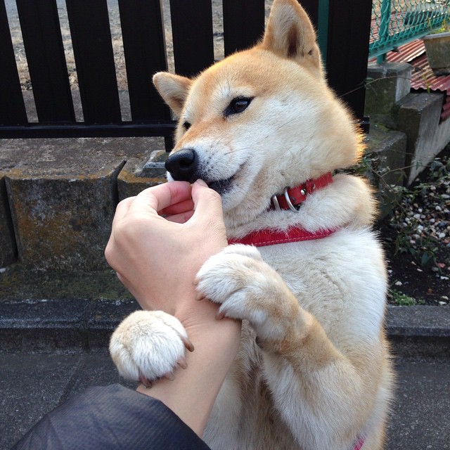 孤胆英雄的挽歌与群狼战术的胜利,当梅西的极致个人表演遇上加纳的集体智慧