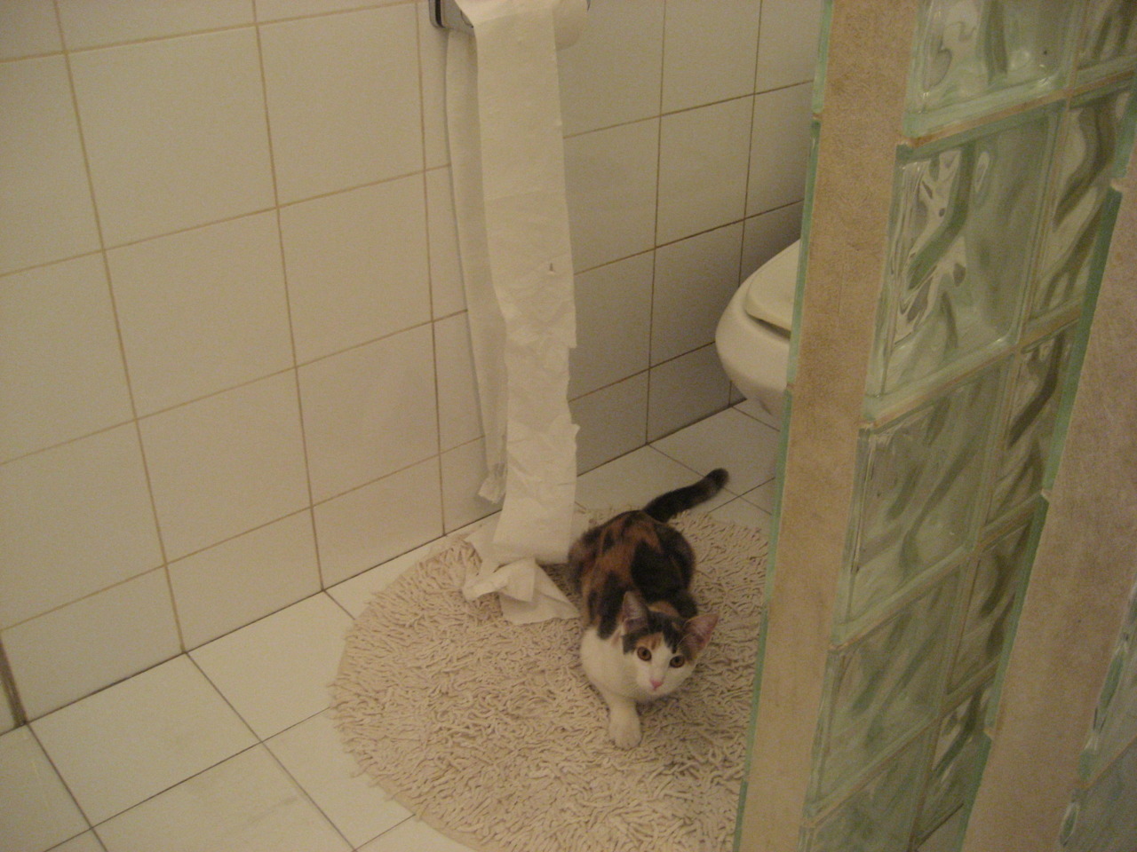 萨卡独造三球闪耀全场,美国队逆转强势晋级迎战希腊