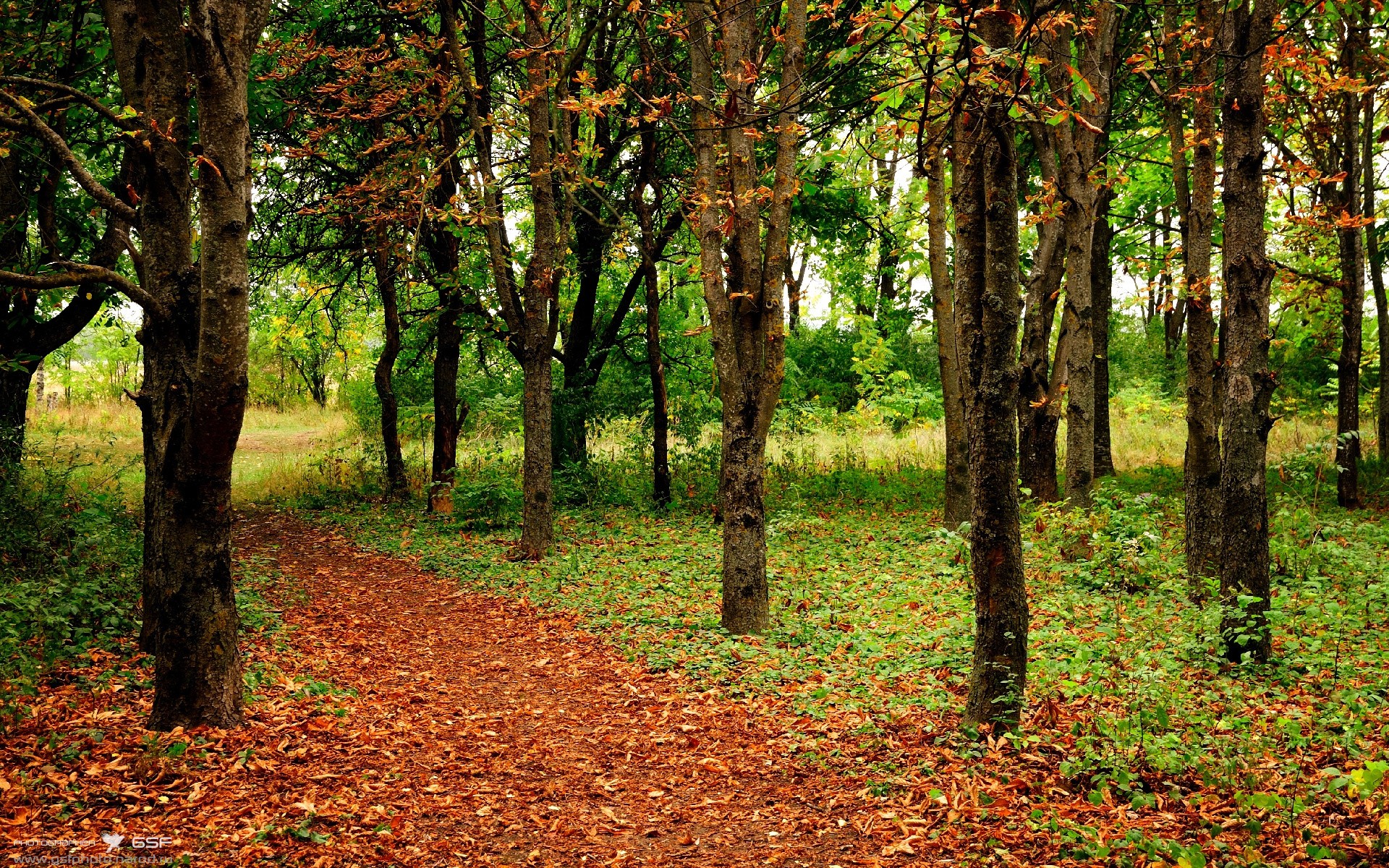 数据之夜的唯一舞者,斯通斯如何用爆炸式表现重新定义现代后卫