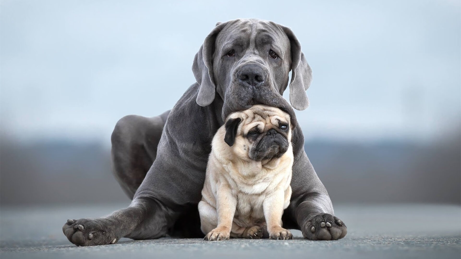 比分牌上写着123:117，但全世界都读成了，霍勒迪 对阵 雷霆