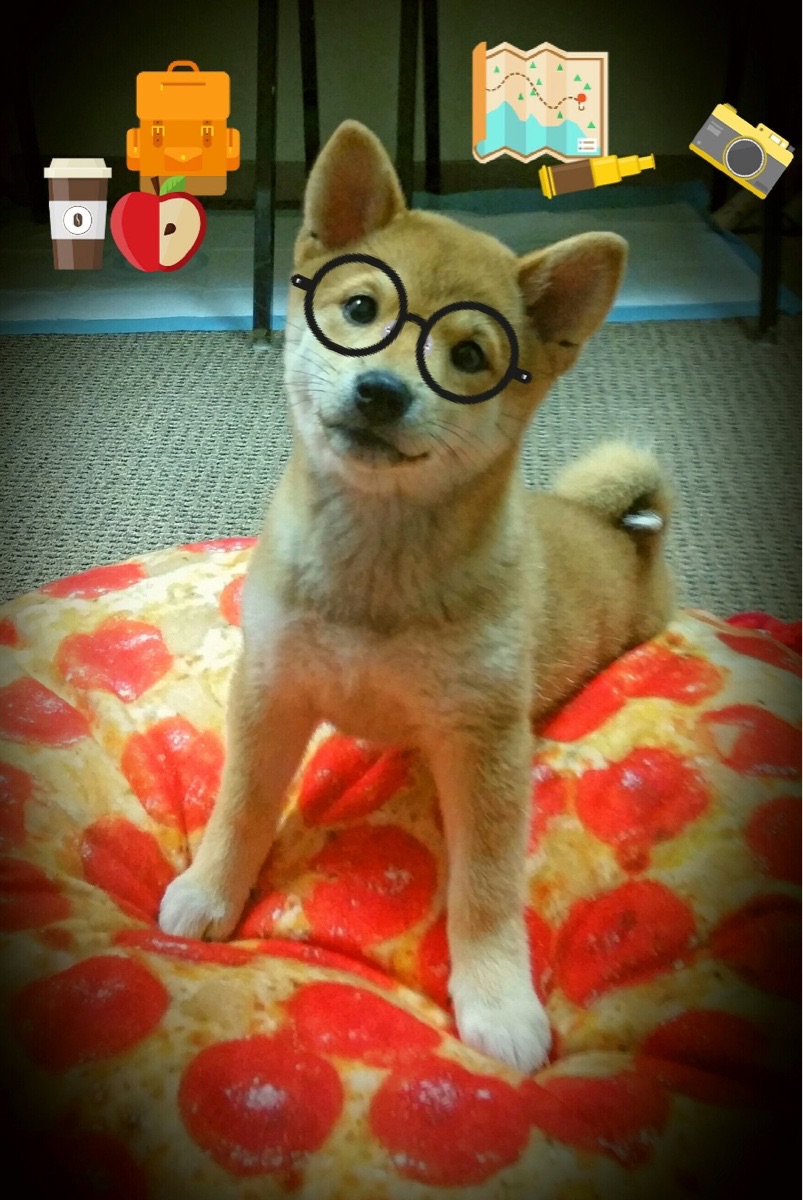 秋风扫落叶，杜兰特镰刀挥舞之夜，篮网在上海滩完成技术性收割