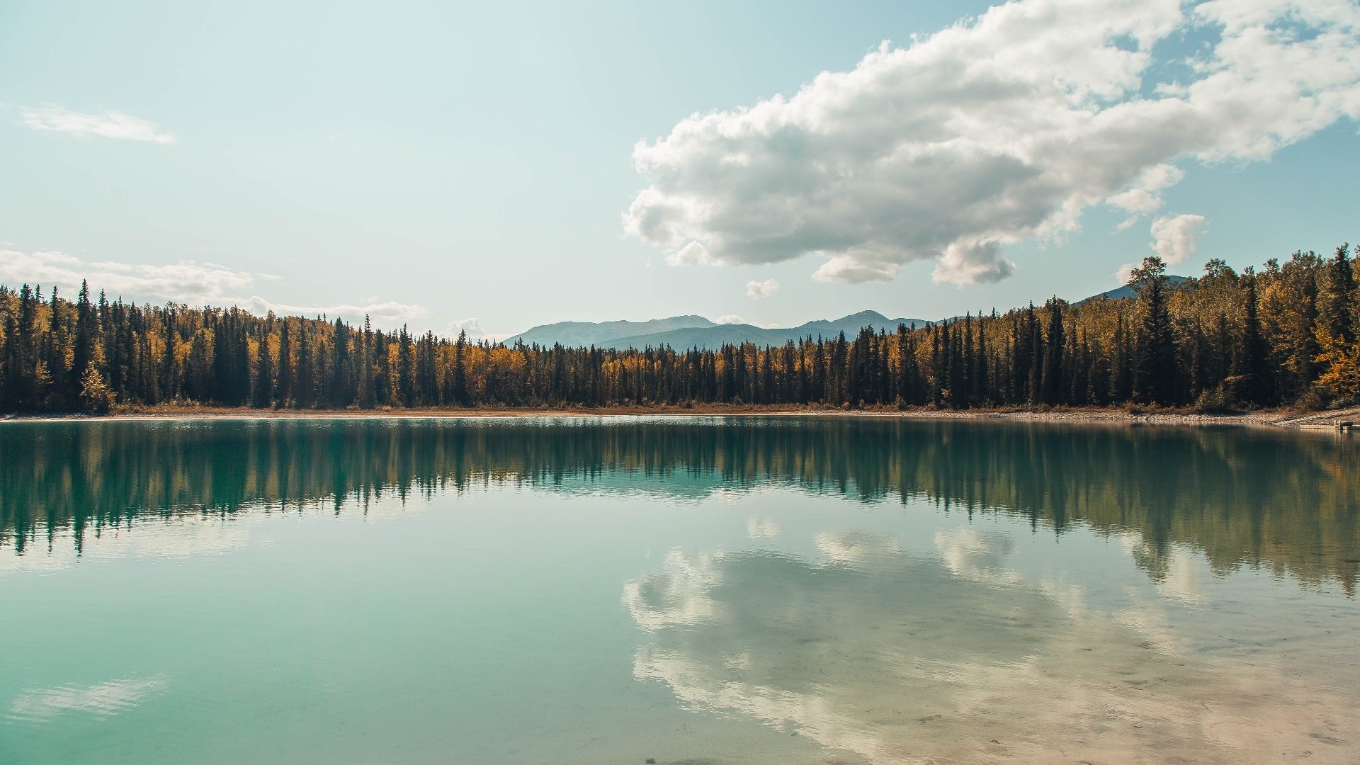 单节统治力，从北京队到保罗，篮球世界的神奇同步