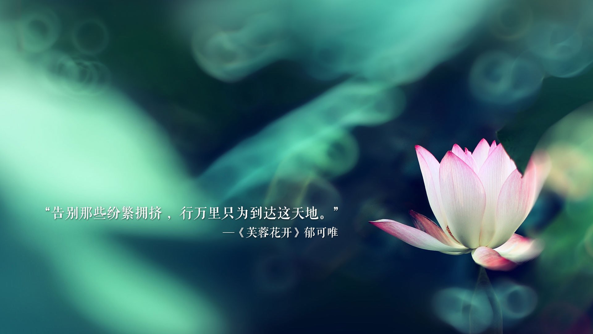 奥斯梅恩的外科手术,利物浦生死战中精准切除比利亚雷亚尔