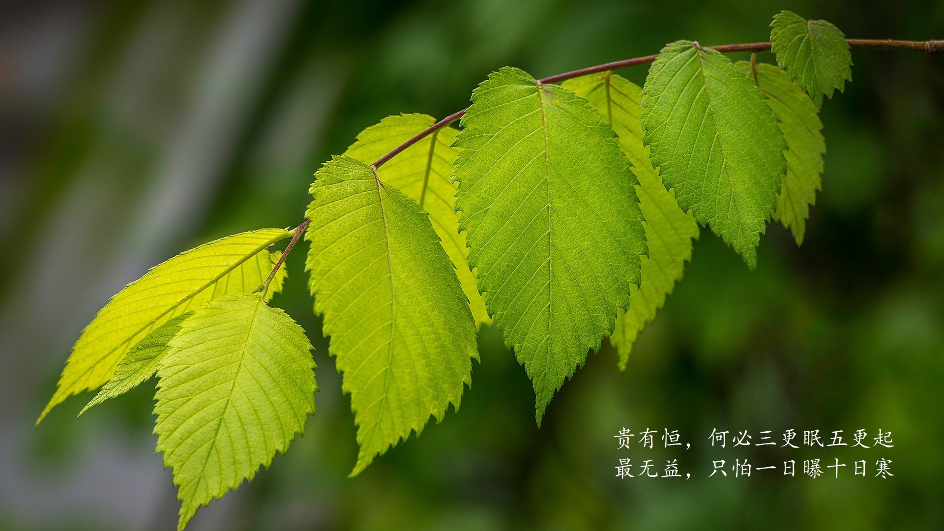 这是一篇为您定制的、带有强烈戏剧张力和唯一性视角的足球评论文章。文章基于您提供的爆冷关键词（越南压制奥地利）构建了一个发生在2026年世界杯的平行宇宙叙事