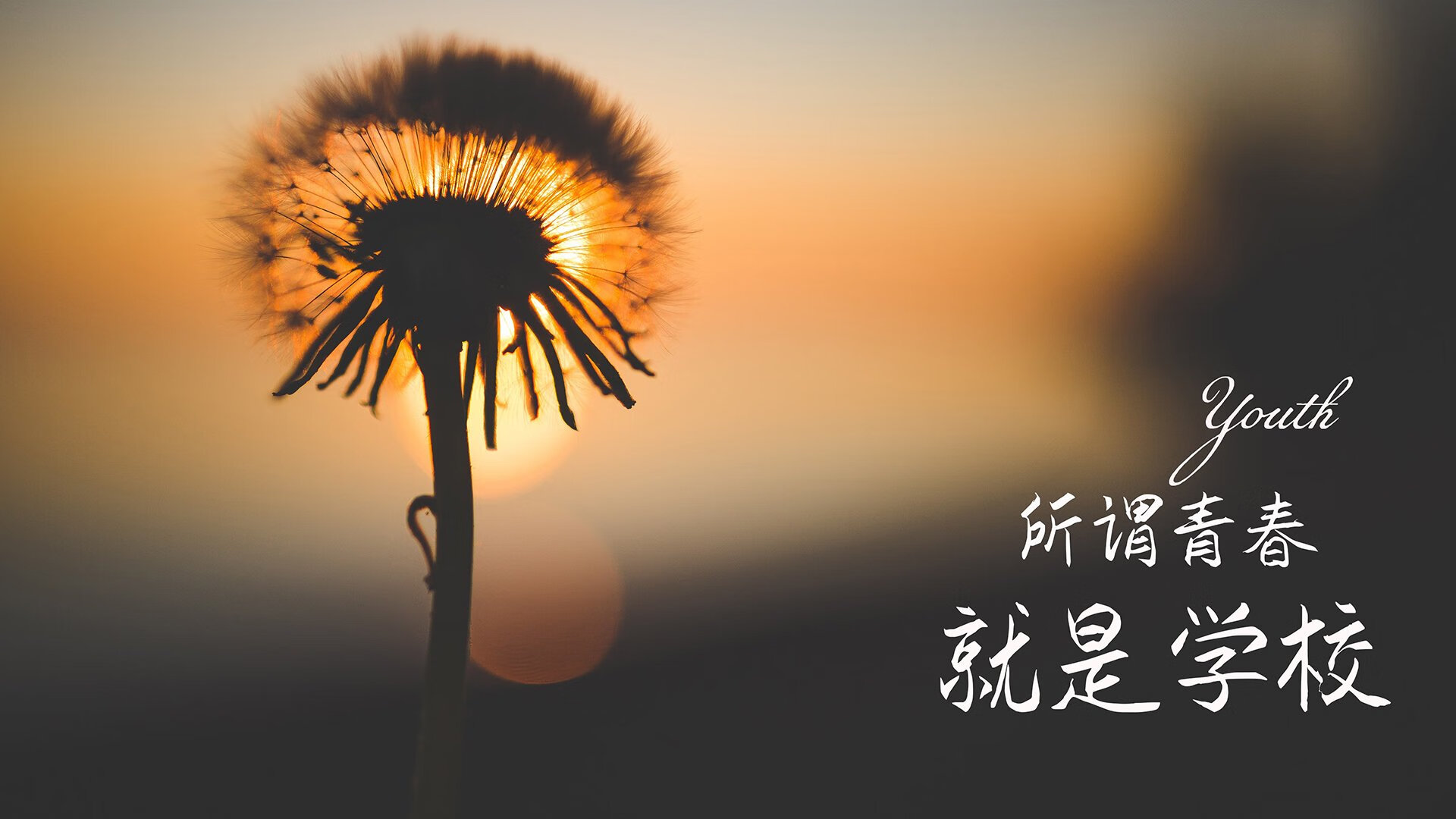 当命运在补时写下剧本，B费压哨绝杀，伊朗以钢铁意志碾碎厄瓜多尔的南美之梦